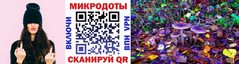 продажа наркотиков Чаплыгин Галлюциногенные грибы Psilocybine cubensis