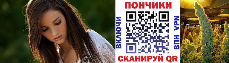 Каннабис индика  Чаплыгин 